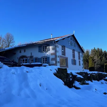 酒店 La Belle Des Vosges 勒索里